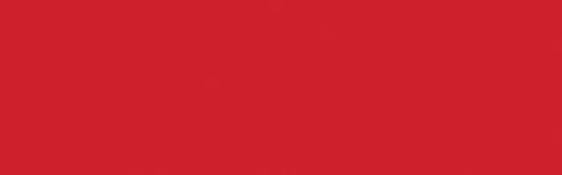 SOLARFAST DYE - JACQUARD BURNT ORANGE 102 (118.29ml)