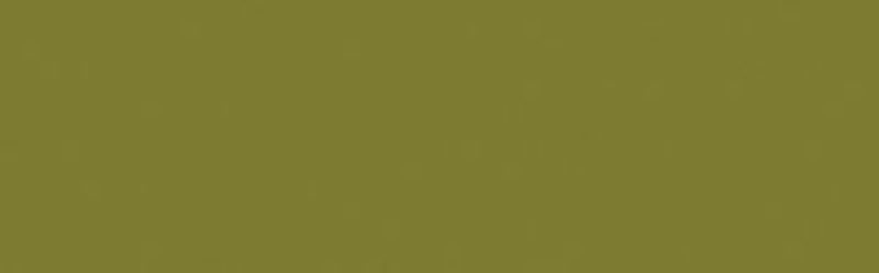 SOLARFAST DYE - JACQUARD AVOCADO 110 (118.29ml)
