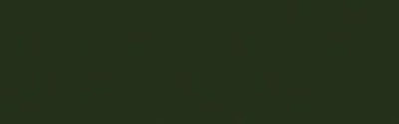 SOLARFAST DYE - JACQUARD  GREEN 109 (118.29ml)