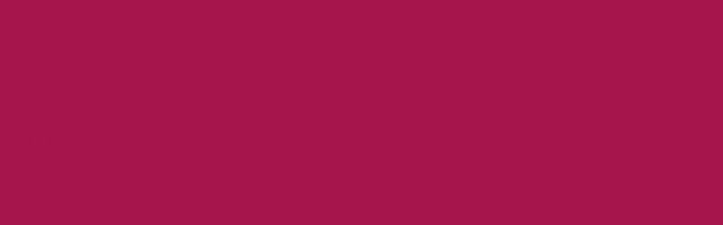 ACID DYE - JACQUARD VERMILLION 611 (14.17G)