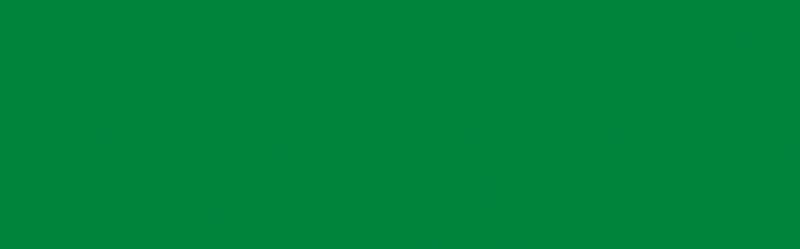 ACID DYE - JACQUARD EMERALD 629 (14.17G)