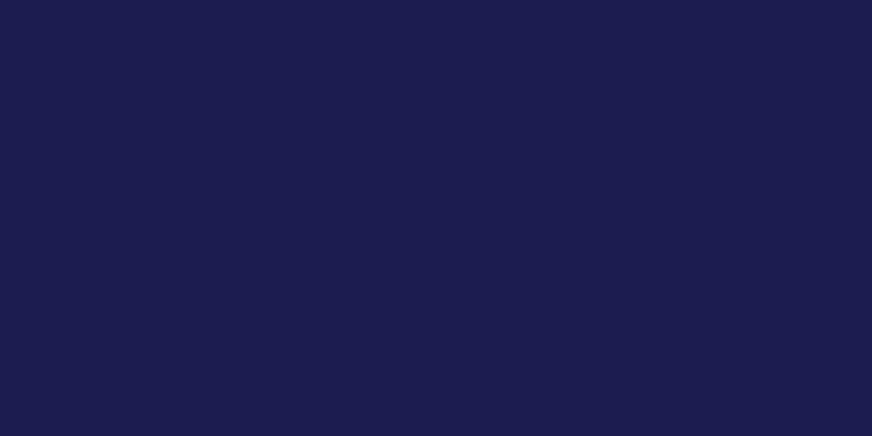 NEOPAQUE Paint - JACQUARD NAVY 455 (66.54ml)