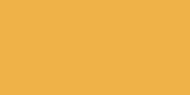 NEOPAQUE Paint - JACQUARD GOLD YELLOW 581 (66.54ml)