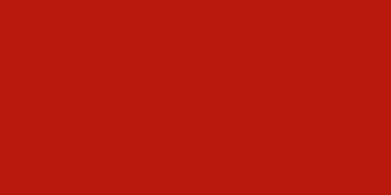 NEOPAQUE Paint - JACQUARD RED 583 (66.54ml)