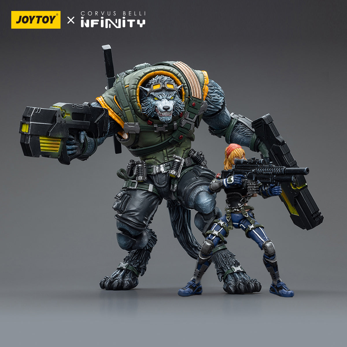 Infinity Collectibles: 1/18 Scale Ariadna Equipe Mirage-5