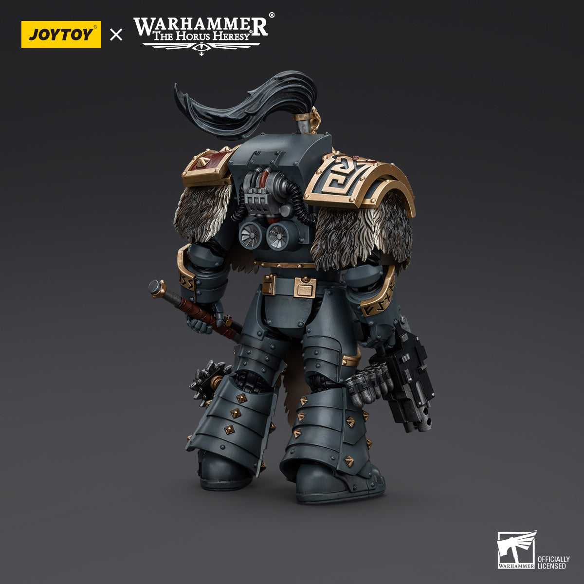 Warhammer 40K 1/18 Space Wolves Varagyr Wolf Guard Squad Varagyr Terminator 4