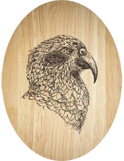 Elegant Kea Plywood Oval Wall Art, showcasing natural pine grain, 210mm x 280mm, eco-friendly and ready to hang.