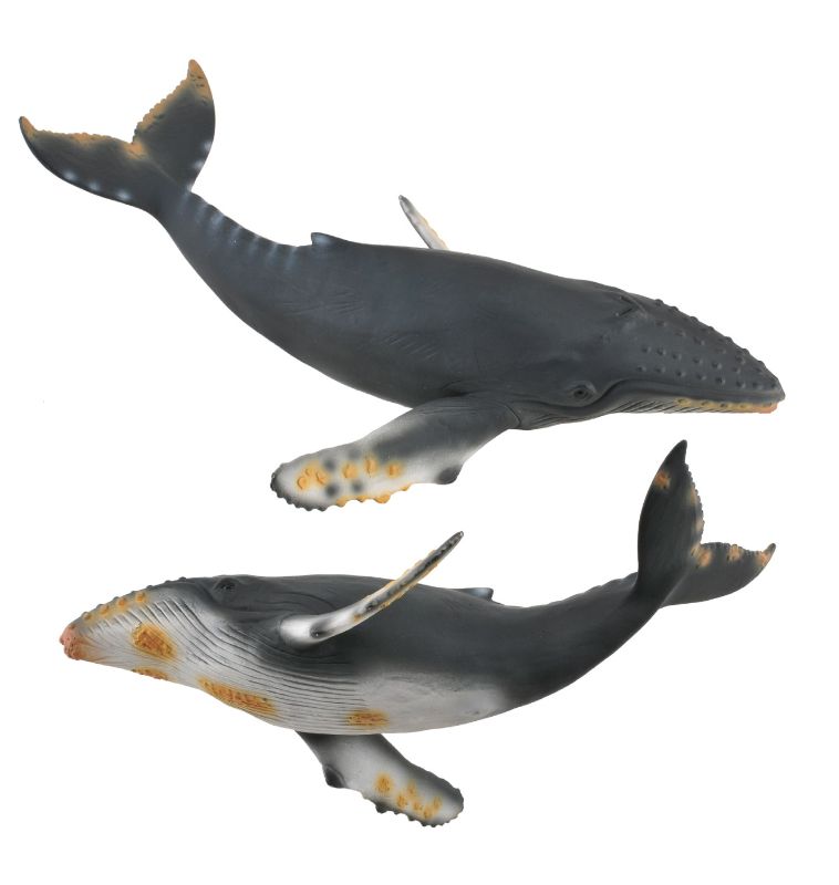 Figurine - Humpback Whale (21.2cm) - CollectA