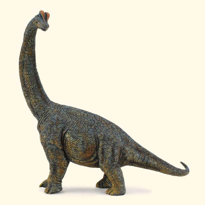 Figurine - Brachiosaurus Deluxe (28.5cm) - CollectA