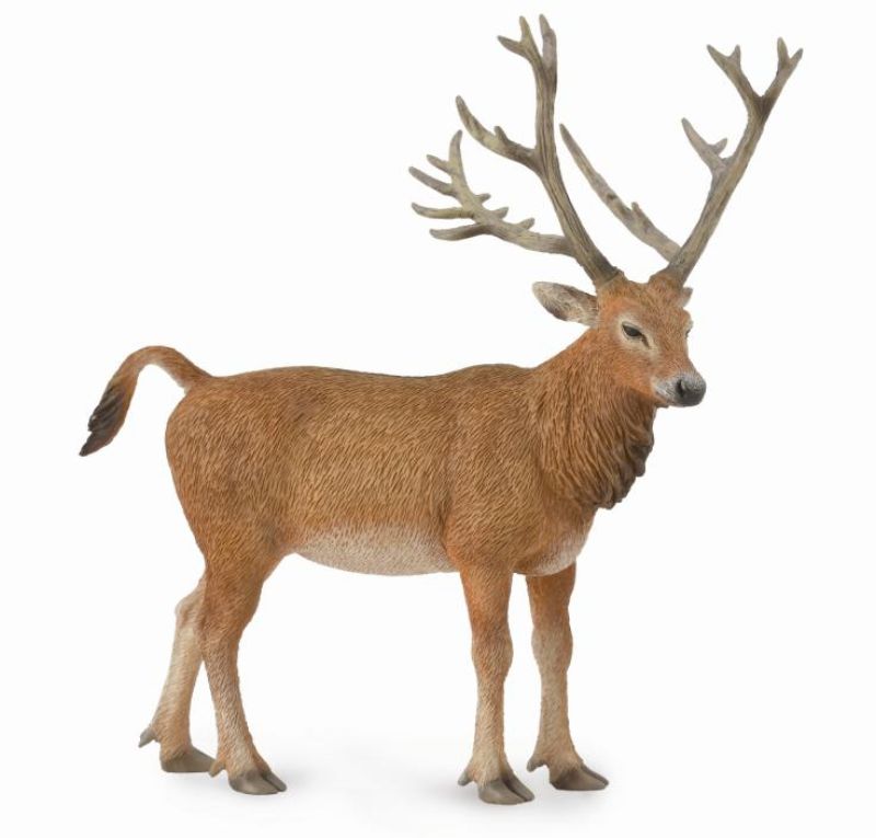 Figurine - Pere Davids Deer (10.5cm) - CollectA