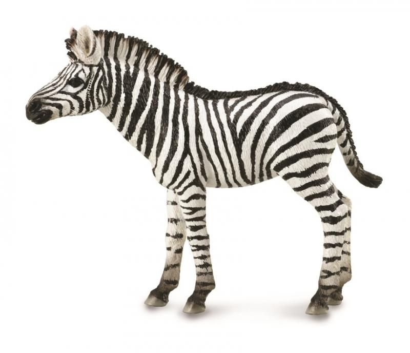 Figurine - Zebra Foal (8.6cm) - CollectA