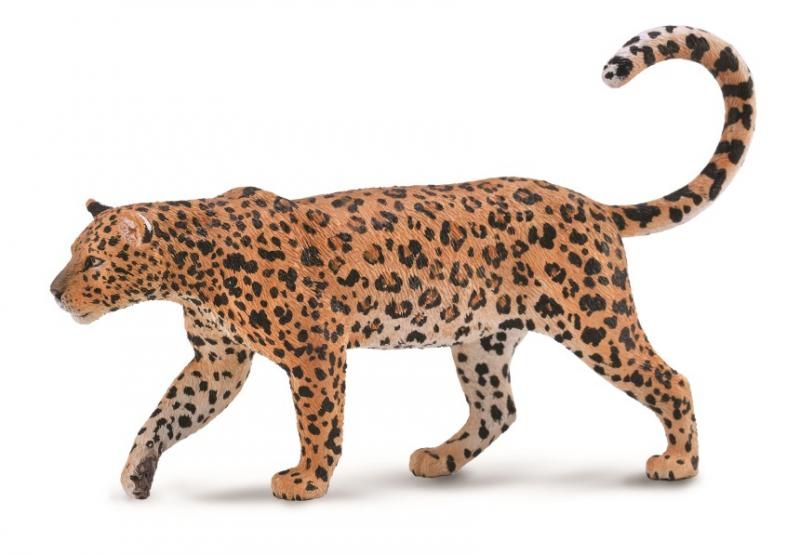 Figurine - African Leopard (12.8cm) - CollectA