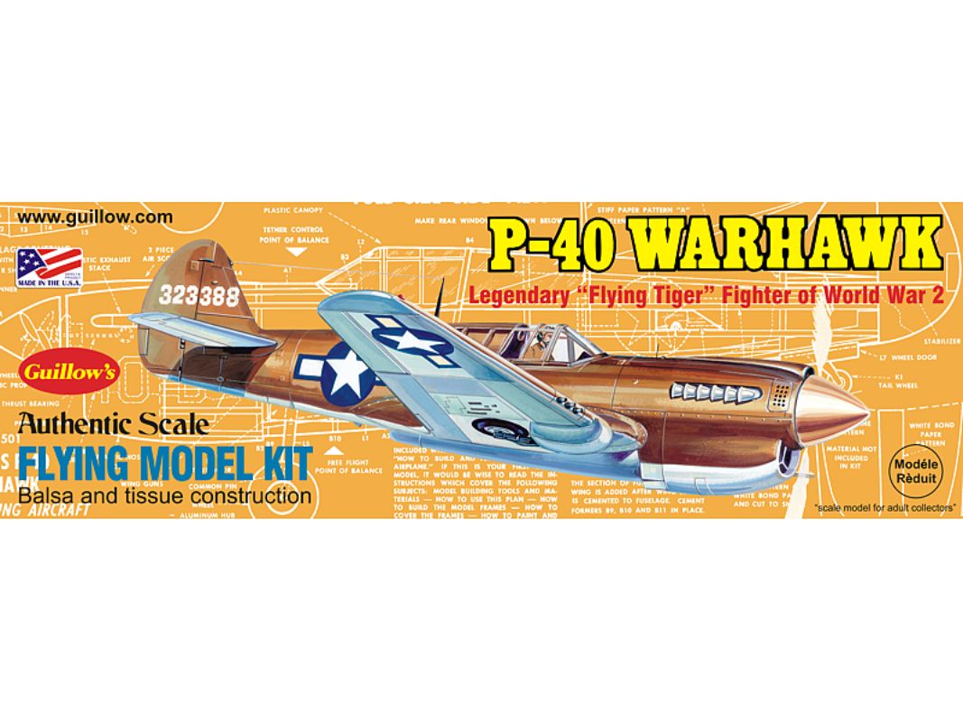 Balsa wood glider kit of the WWII P-40 Warhawk, featuring a 16-inch wingspan and detailed assembly for hobbyists.