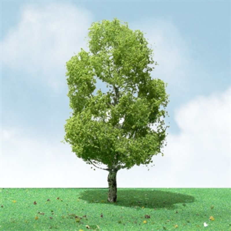 Set of three 50-55mm birch trees with realistic detailing, perfect for model scenery and miniature landscapes.