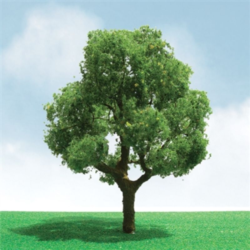 Realistic 75-85mm deciduous trees in a 2-pack, perfect for enhancing model landscapes and dioramas.