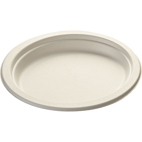 Biochoice Sugarcane Oval Plate 320mm 50s