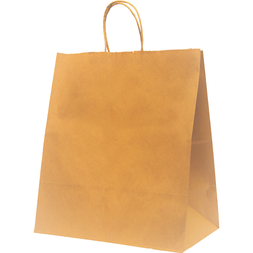Castaway Ppr Dlvry Bag 330mmx300mm 25pk