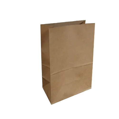 Gilmours Co Bag L 400x290x150mm 50pk