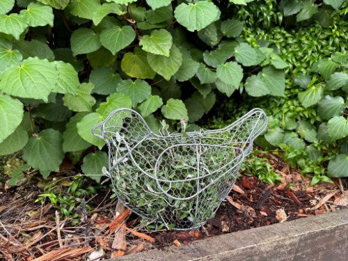 Topiary Plant Training Frame Bird 37 x 16 x 25cm