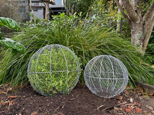 Topiary Plant Training Frame Ball Small 30 x 30 x 30cm