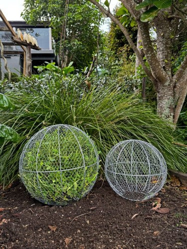 Topiary Plant Training Frame Ball Large 41 x 41 x 39cm