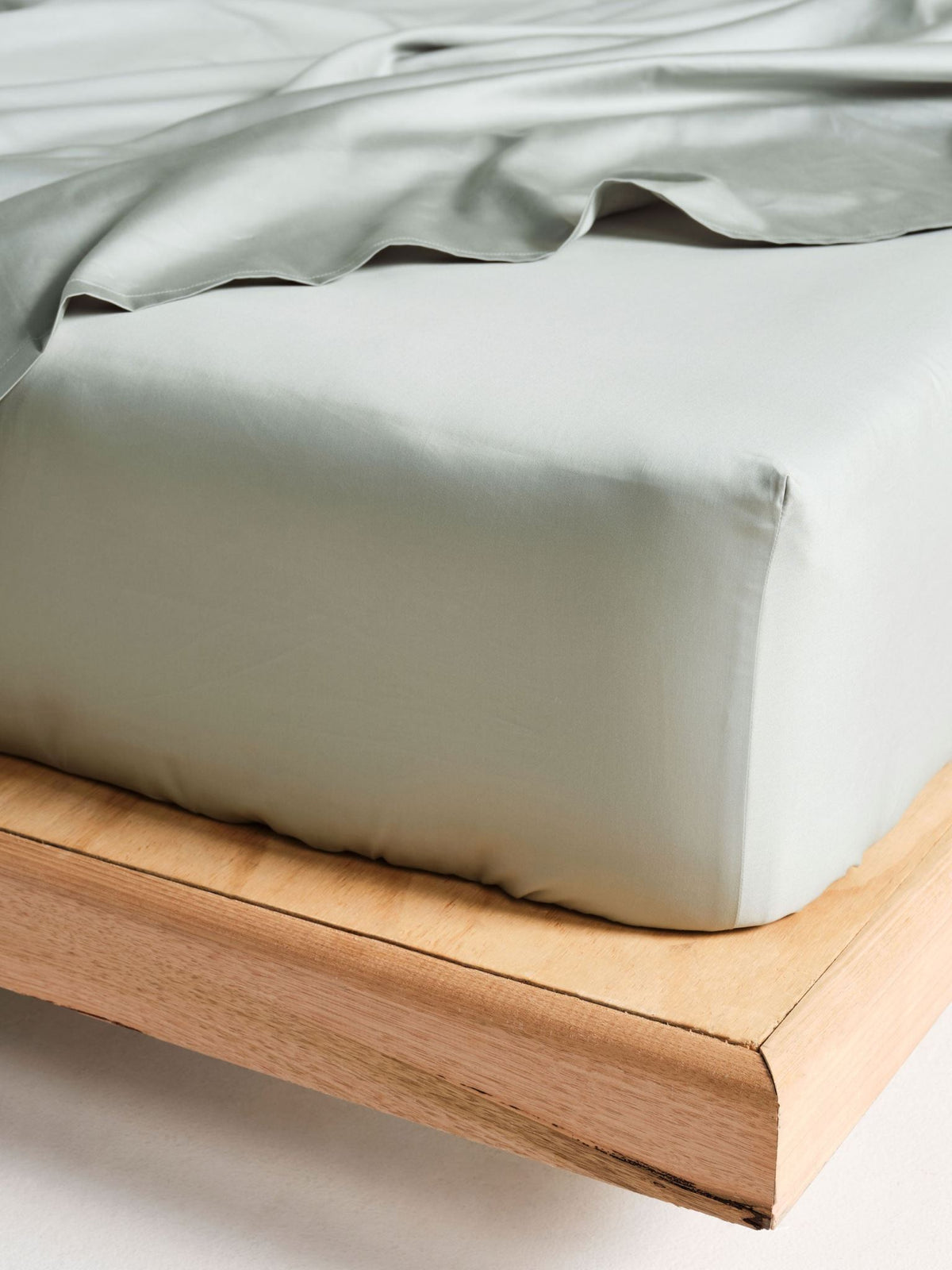 Sheet Set - 500 Thread Count Cotton Sateen Augusta Green Gum Linen House - King