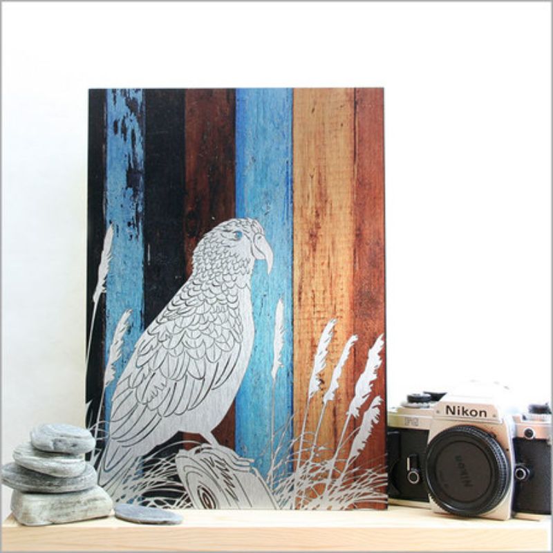 Vibrant Kea parrot wall art on aged timber, printed on ACM Brushed Silver, 205mm x 288mm, perfect for nature-inspired decor.