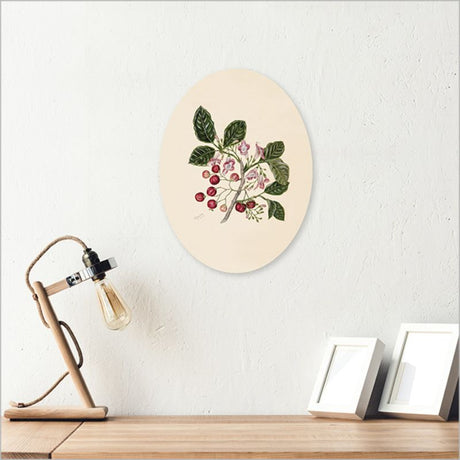 Ply Oval Sarah Featon Puriri wall art features vibrant floral watercolors on eco-friendly pine ply, perfect for any decor style.