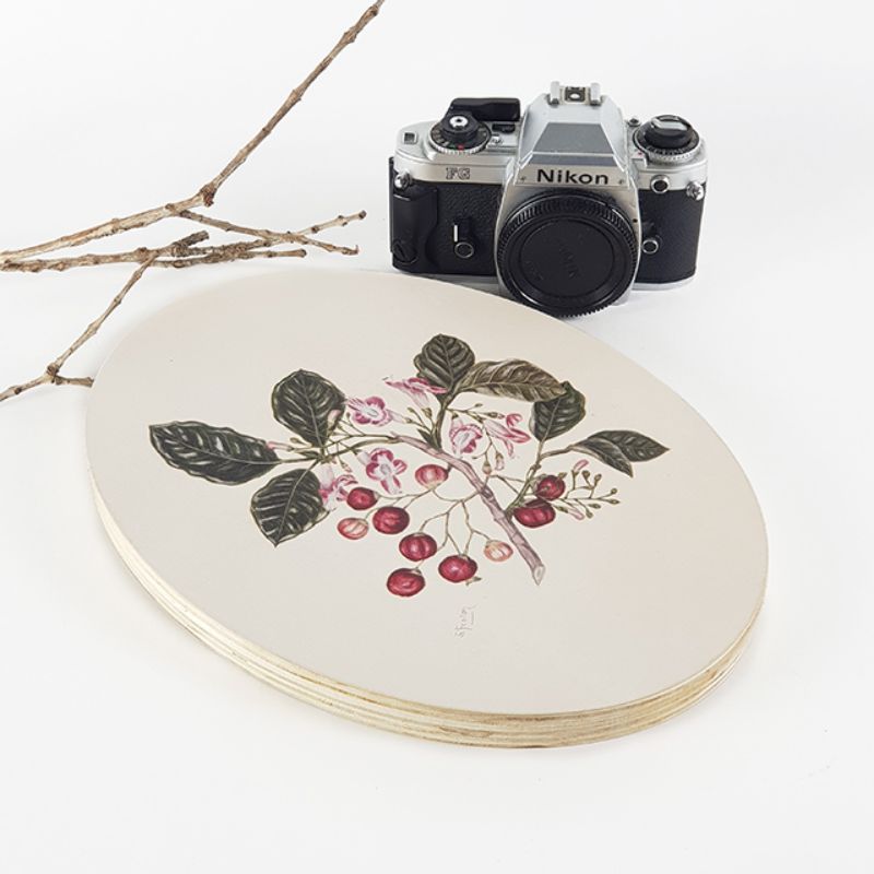 Ply Oval Sarah Featon Puriri Wall Art, 28cm, eco-friendly pine ply, featuring vibrant floral watercolors by Sarah Featon.