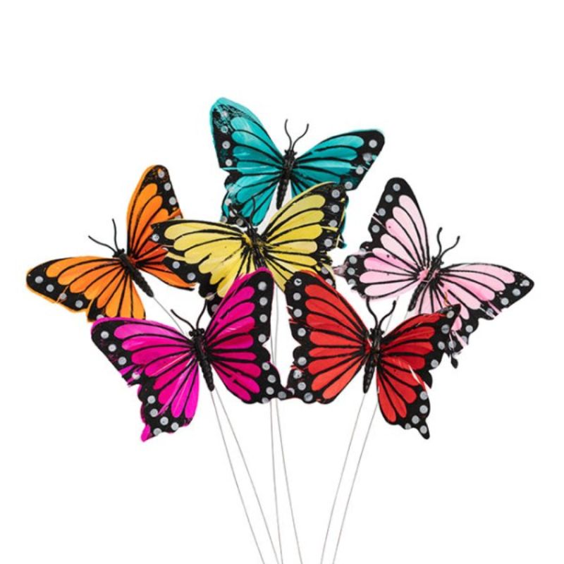 Pick Butterfly Assorted Set Pack of 12