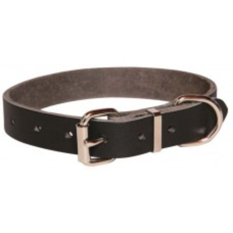 Plain leather dog collar in stylish design, 12mm width, perfect for small to medium breeds, available in various colors.