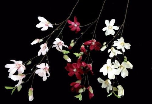 Cream Magnolia Branchwith 6 Flowers