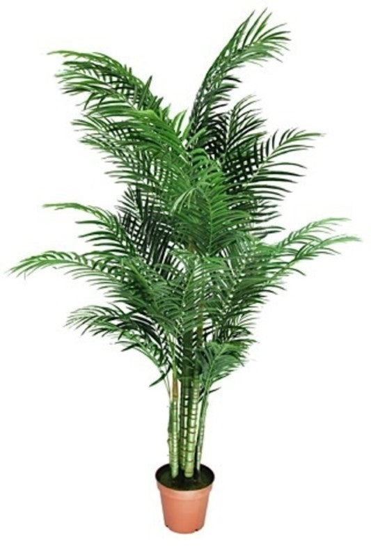 Articifial Foliage - Areca Palm