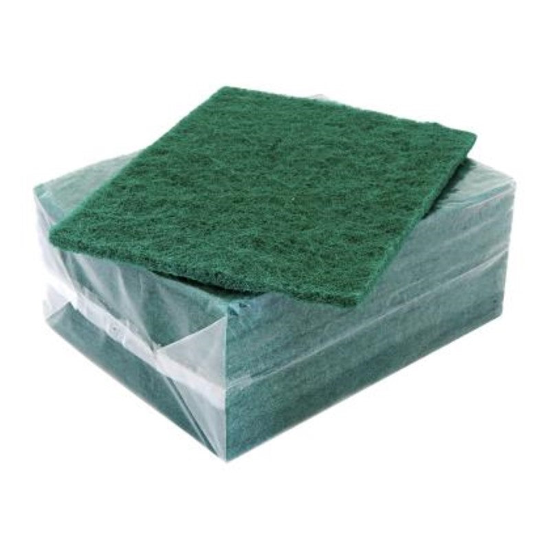 Scourer Green 200x145mm - Bastion - 10PC
