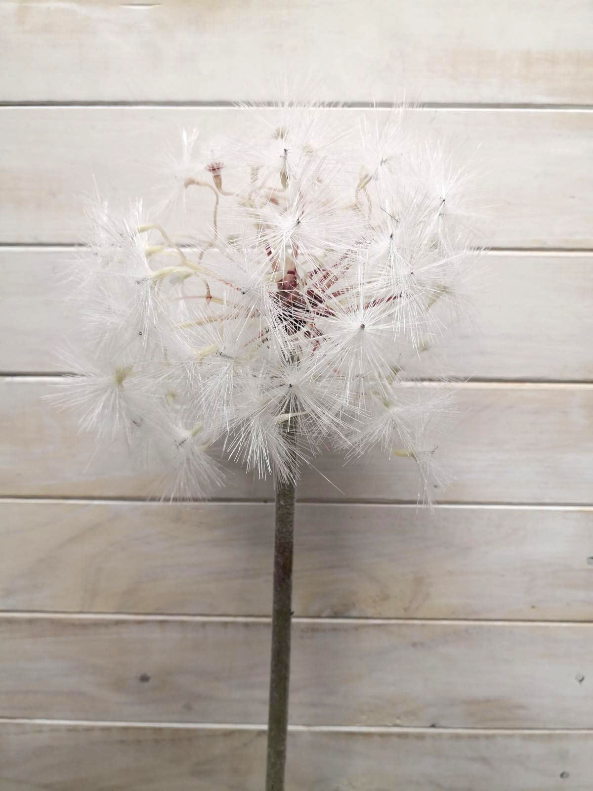 Artificial Flower -Dandelion - 15cm Large White Dandelion