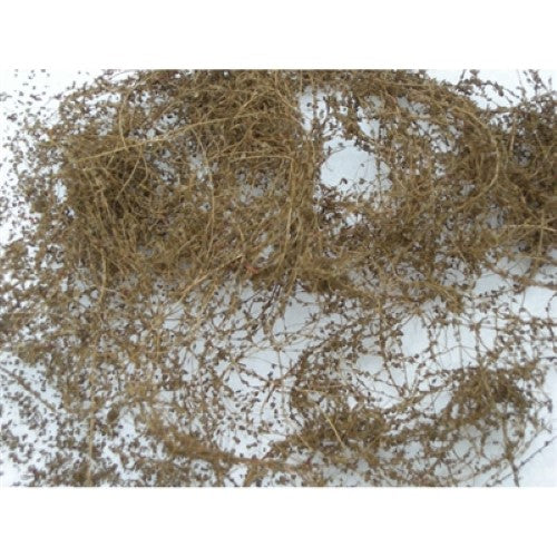 Realistic dry vine dead foliage for dioramas, model landscapes, and scenic displays; 10g pack of premium quality vines.