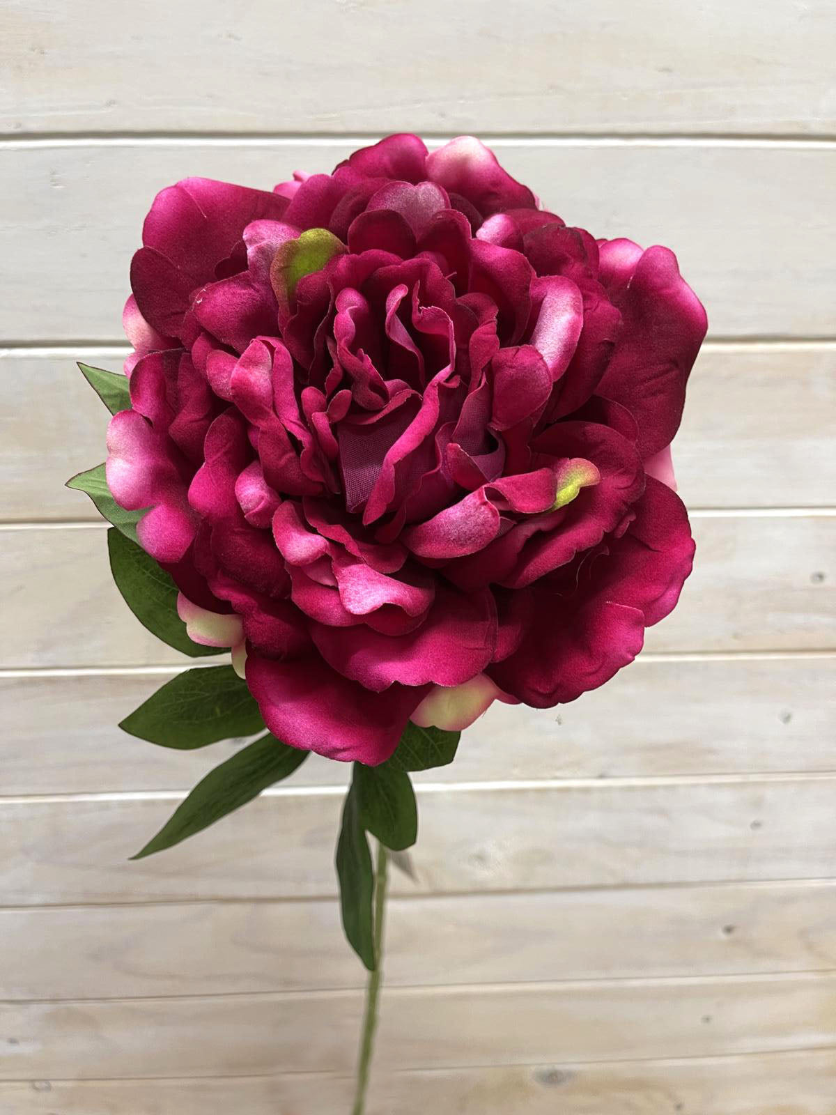 Artificial Flower -Peony - Single Large Velvet Peony