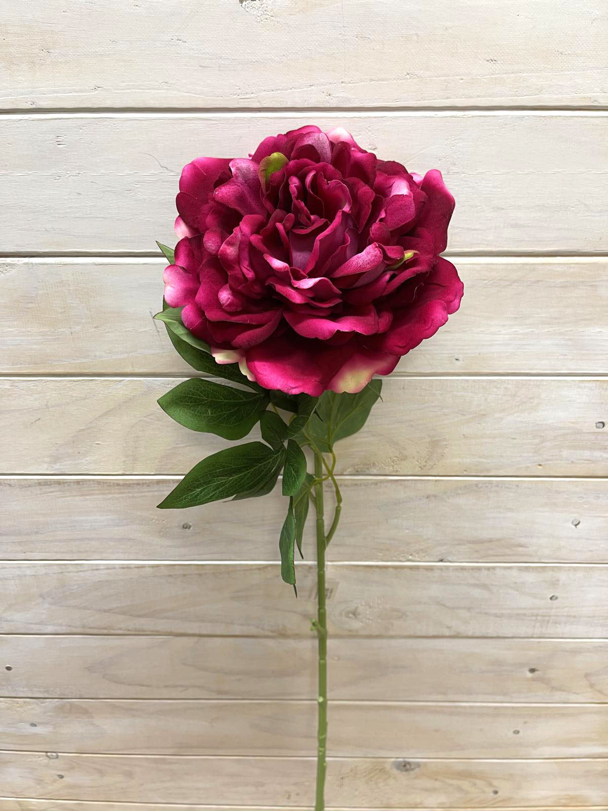Artificial Flower -Peony - Single Large Velvet Peony
