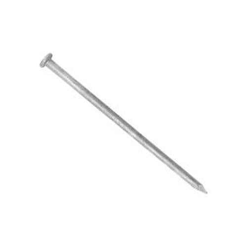 Nail Galvanised Flat Head Smooth 19 x - Ecko 1.60mm 500g