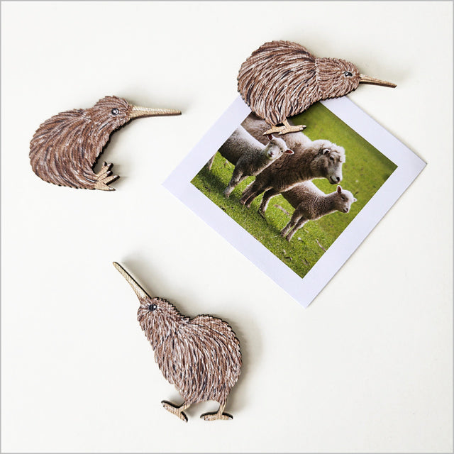 Magnet Pop-Out - Kiwis Set