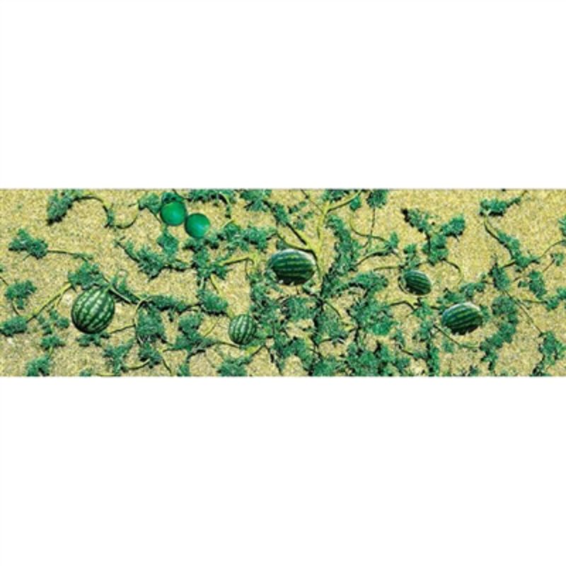 Vibrant 1:48 scale watermelon patch set, featuring 6 detailed mini watermelons for model scenery enhancement.