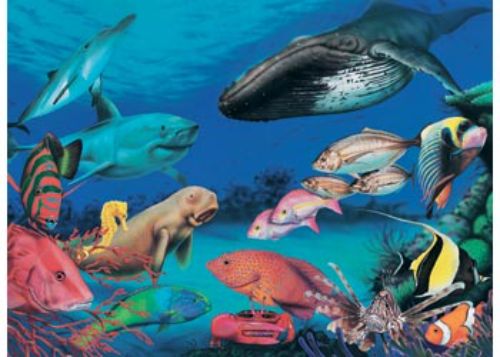 Blue Opal - Wild Aust Beneath the Oceans 200pc