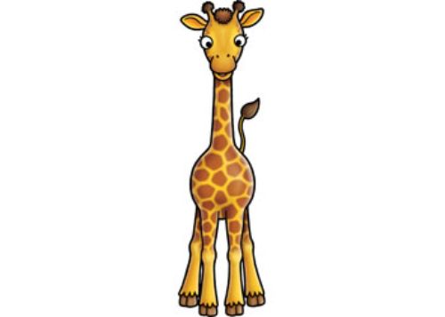 Orchard Game - Jungle Heads & Tails