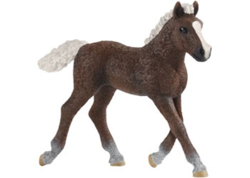 Schleich - Black Forest Foal