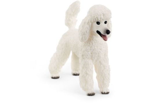 Schleich - Poodle