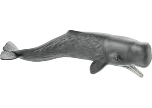 Schleich - Sperm whale