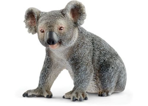 Schleich - Koala