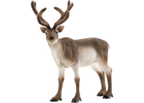 Schleich - Reindeer