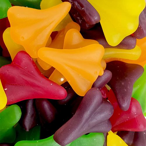Kiwi-D Gummy Aeroplane (2kg)