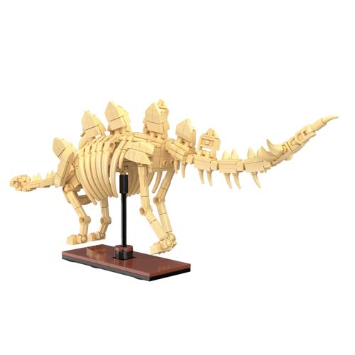 Dinosaur Fossils - Stegosaurus
